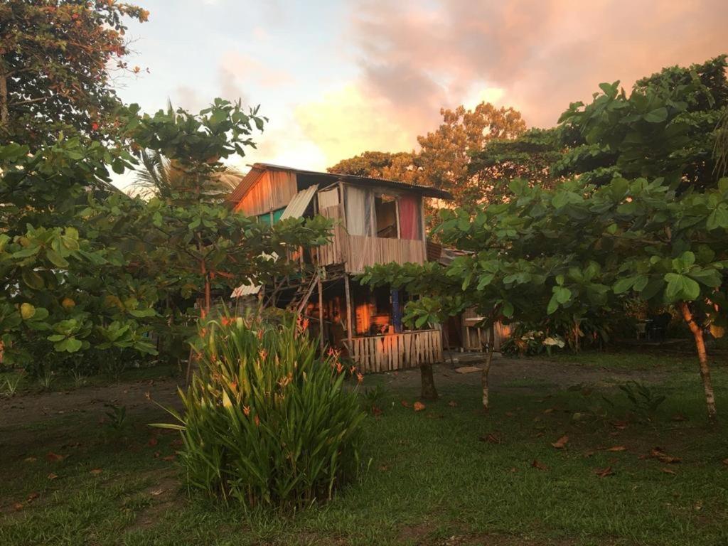 Miguel Surf Camp Quepos Exterior foto