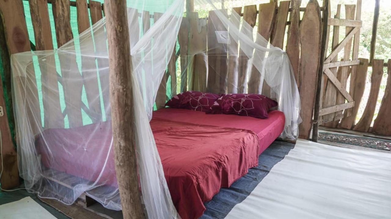 Miguel Surf Camp Quepos Exterior foto