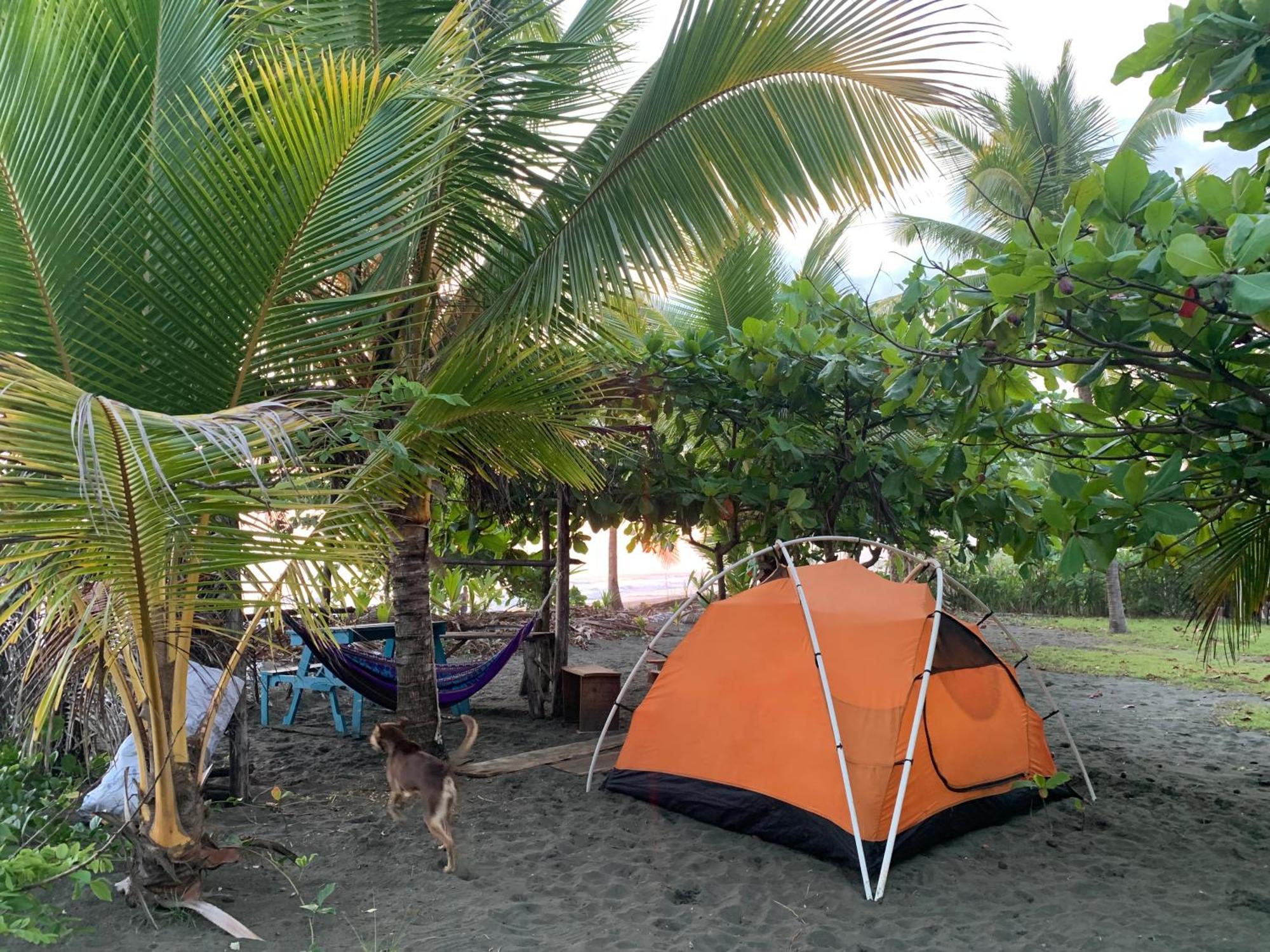 Miguel Surf Camp Quepos Exterior foto