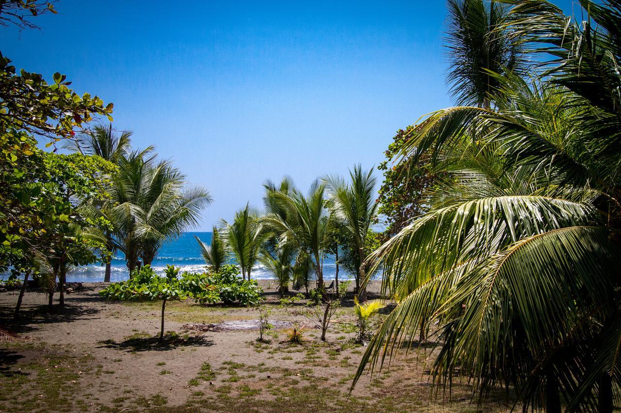Miguel Surf Camp Quepos Exterior foto